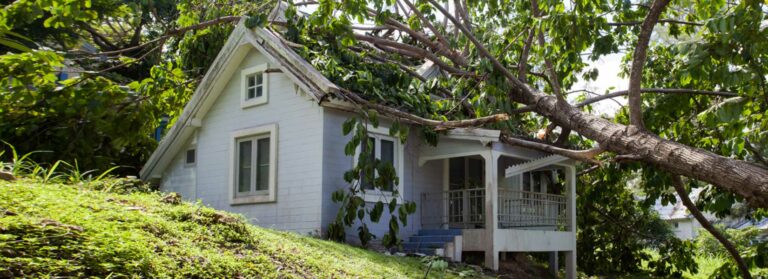 When A Tree Causes Roof Damage