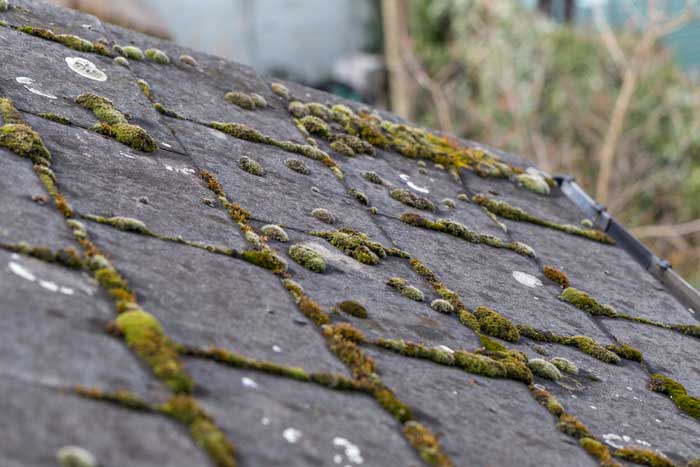 standard-roofing mistakes