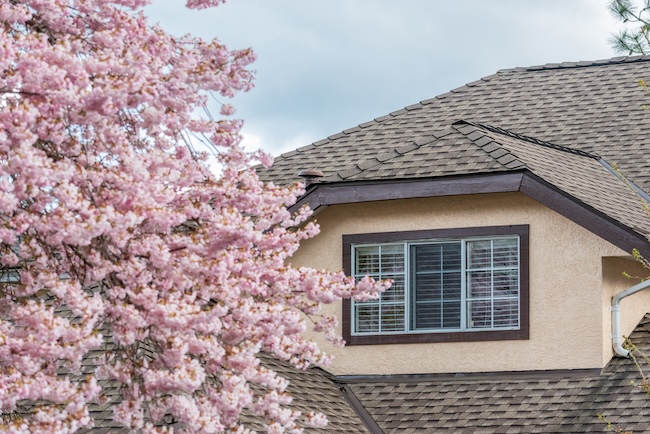 Close-up view of architectural asphalt roofing shingles installed on a Greenville SC home showing dimensional texture and quality materials